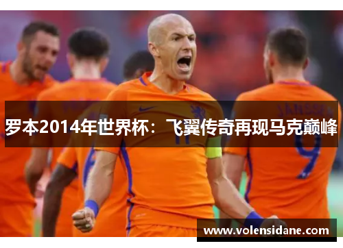 罗本2014年世界杯：飞翼传奇再现马克巅峰