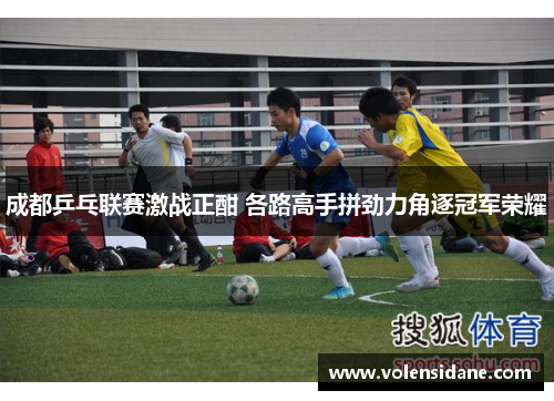 成都乒乓联赛激战正酣 各路高手拼劲力角逐冠军荣耀