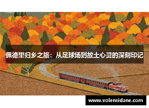 佩德里归乡之旅：从足球场到故土心灵的深刻印记