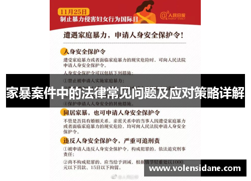 家暴案件中的法律常见问题及应对策略详解