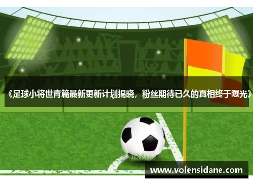 《足球小将世青篇最新更新计划揭晓，粉丝期待已久的真相终于曝光》
