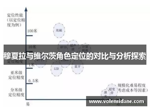 穆夏拉与维尔茨角色定位的对比与分析探索