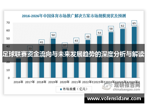 足球联赛资金流向与未来发展趋势的深度分析与解读