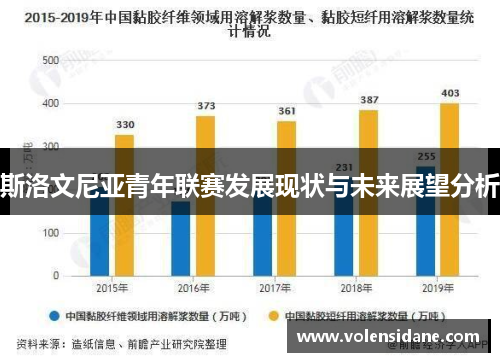 斯洛文尼亚青年联赛发展现状与未来展望分析 斯洛文尼亚青年联赛发展现状与未来展望分析